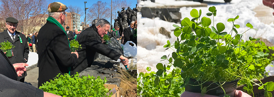 St. Patrick’s Day at the Memorial!